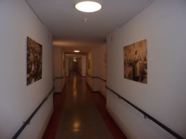 P1160274