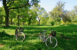 Fietstocht