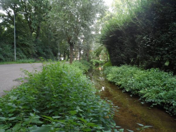 2015 de Aalsbeek (1)